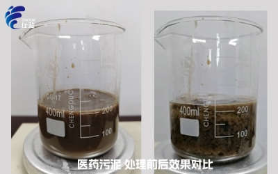 處理醫(yī)藥污泥，選擇哪種污泥調(diào)理劑比較好？-青島仕駿