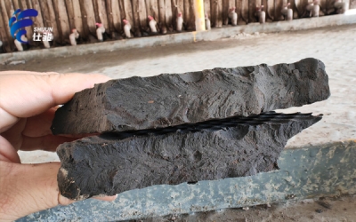 為什么污泥壓濾機(jī)壓不干且稀，還粘濾布？-青島仕駿