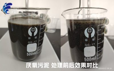 污泥增效劑：激活厭氧污泥潛能，重塑資源化新格局-青島仕駿