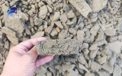 常見傳統污泥脫水劑在板框機應用中的局限?-青島仕駿