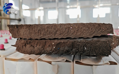 污泥增效劑:破解板框機壓泥難題的"利器"-青島仕駿