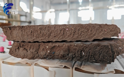 造紙污泥處理中污泥增效劑的關鍵作用-青島仕駿