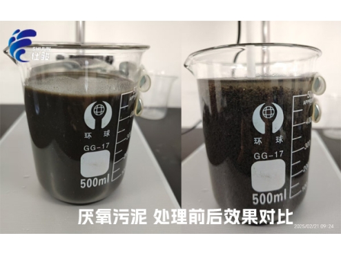 污泥增效劑：激活厭氧污泥潛能，重塑資源化新格局-青島仕駿