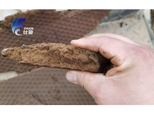 污泥增效劑：提升進泥量與降低含水率助力-青島仕駿